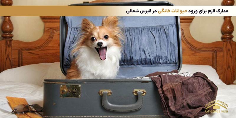 مدارک لازم برای ورود حیوان خانگی به قبرس شمالی