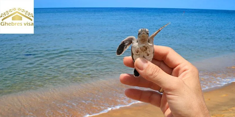 بهترین مقصد سفر خارجی در تابستان